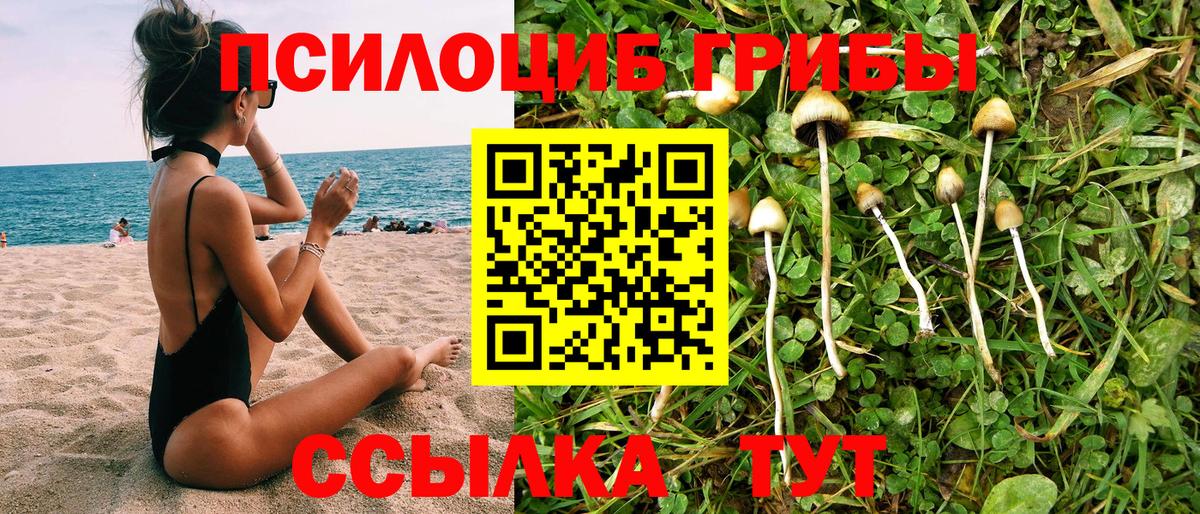 Галлюциногенные грибы GOLDEN TEACHER Новоалександровск