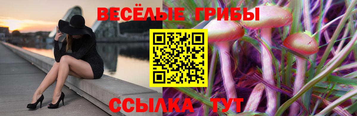 Псилоцибиновые грибы мухоморы  Вход с VPN  Новоалександровск 